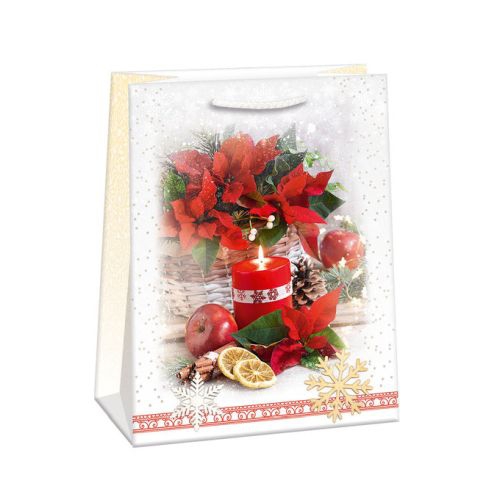 Darčeková taška T9/34,5x48x13 lesk